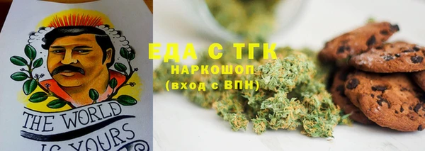 прущие грибы Корсаков