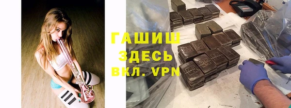 прущие грибы Корсаков