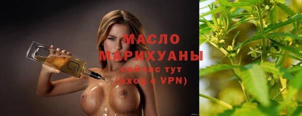 прущие грибы Корсаков