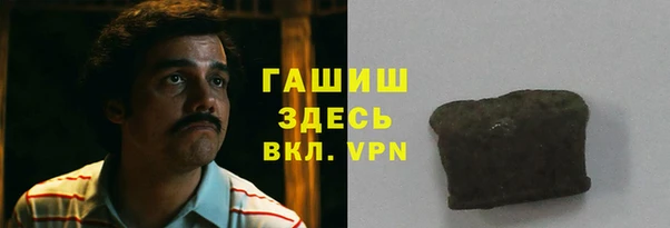 прущие грибы Корсаков