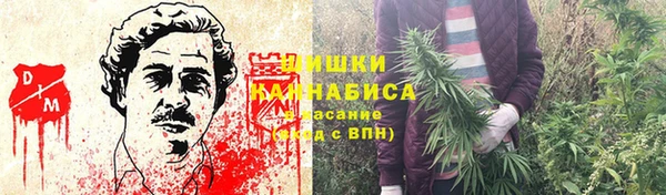 прущие грибы Корсаков
