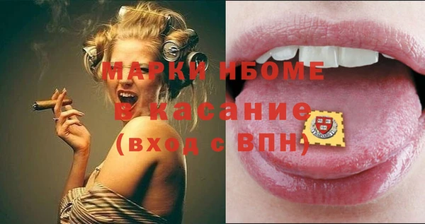 прущие грибы Корсаков