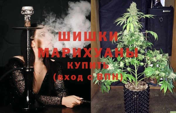 apvp Коряжма