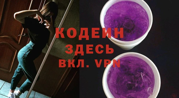 прущие грибы Корсаков
