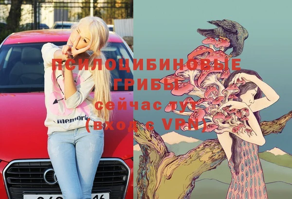 прущие грибы Корсаков