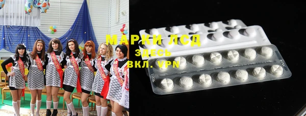прущие грибы Корсаков